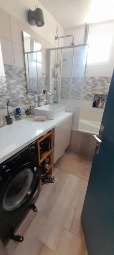 une salle de bain avec un lavabo et une machine à laver dans l'établissement Le Grand Cocon, à La Ciotat