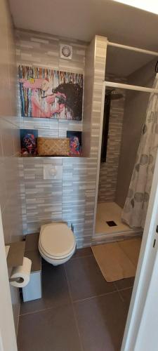 une petite salle de bain avec toilettes et douche dans l'établissement Terrasses de la Corniche, 2p 65m2 spacieux, terrasses mer & montagne, piscine et parking privé, à Nice