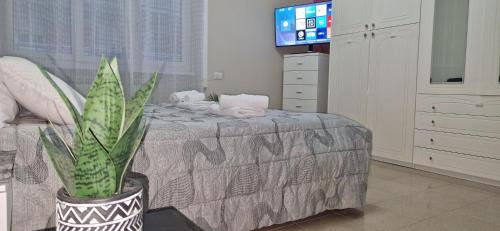 Casa Nuccia,Close to Vatican city and Gemelli