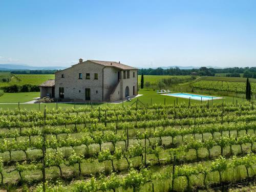 Πισίνα στο ή κοντά στο Villa Le Vigne, 10 pax, private pool, Top Comfort