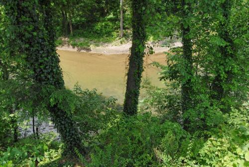 an aerial view of a river in a forest at Striking Waters in Pigeon Forge