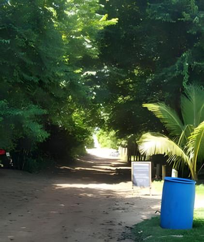 a dirt road with trees and a blue trash can at Quintal do Contêiner em Manguinhos in Manguinhos