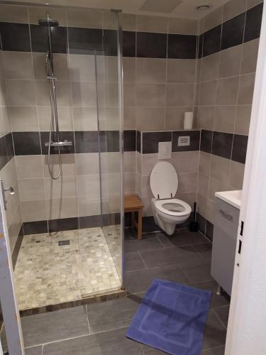 une salle de bain avec toilettes et douche en verre dans l'établissement Appartement en RDC climatisé avec terrasse ombragée et privative, au Grau-du-Roi