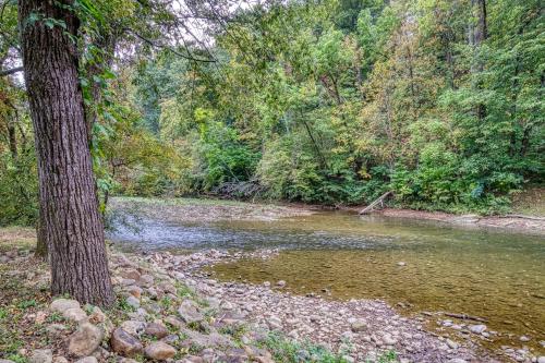 a river with rocks and a tree and trees at River Escape in Pigeon Forge