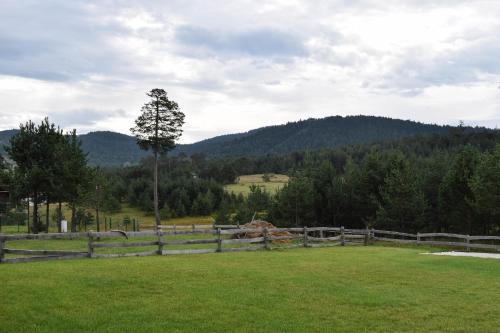 Paysage naturel près de le chalet