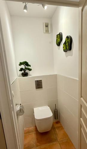 La salle de bains est pourvue de toilettes et d'une plante murale. dans l'établissement Luzea, Domaine Iratzia, à Saint-Jean-de-Luz