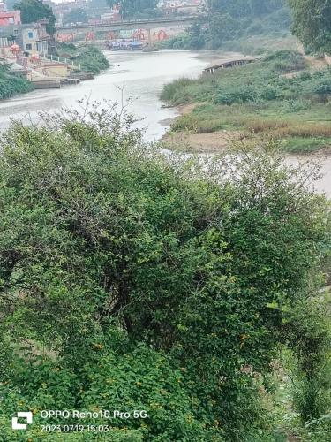 a tree on the side of a river at Hotel Ma Parvati Residency in Chitrakoot