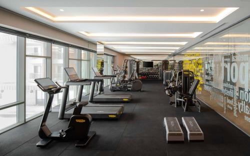 Γυμναστήριο ή/και όργανα γυμναστικής στο Radisson Blu Hotel, Mount Erciyes