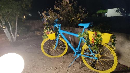 a blue bike with yellow wheels with flowers on it at Argiro's Studios A1 in Kefalos