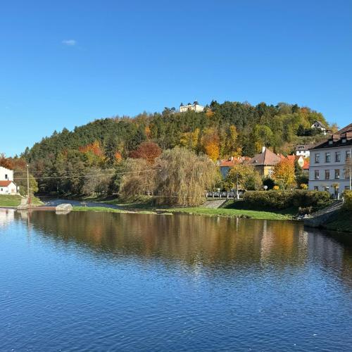 a view of a river with houses and trees at Apartmány Bašta & Wellness in Sušice