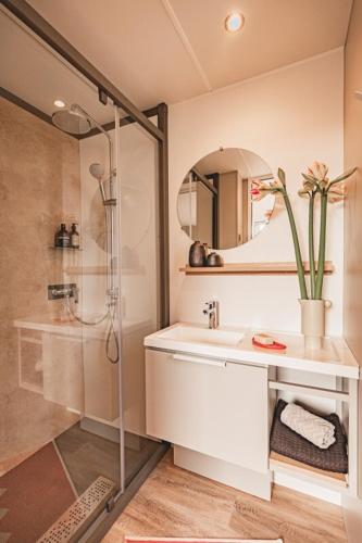 une salle de bain avec une douche, un lavabo et un miroir dans l'établissement Camping maeva Respire Les Couleurs de la Coubre, aux Mathes