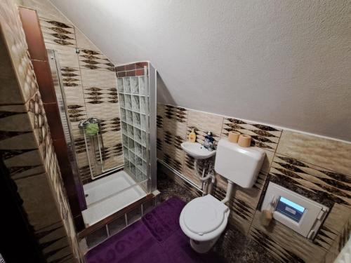 a bathroom with a toilet and a sink at Casa Maria in Topliţa
