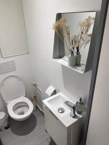 une salle de bain blanche avec des toilettes et un lavabo dans l'établissement Franca View Defense, à Puteaux