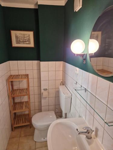 a bathroom with a toilet and a sink and a mirror at Ruhige Ferienwohnung mit Privatparkplatz in Sagard
