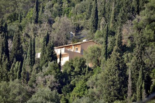 Gallery image of Stella's Apartments in Agios Gordios