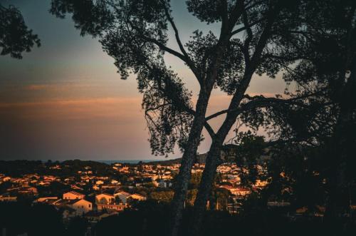 La Solane - Grande maison sous les pins