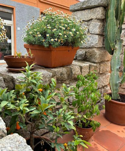 a group of potted plants sitting on a stone wall at Casa Fiorella - Vista Mare in Palau