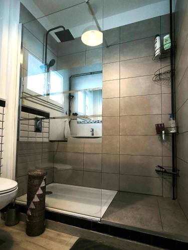 une salle de bain avec une douche en verre et des toilettes dans l'établissement L'échappée belle, parking, climatisation, 5min à pied du centre historique, à Avignon