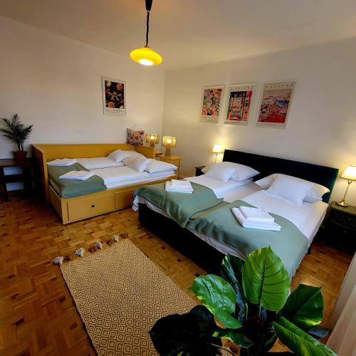 a hotel room with two beds and a plant at Bonjour Vendégház in Nyíregyháza