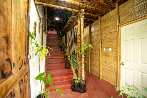 Gallery image of Hostel Campestre Las Guaduas in Salento