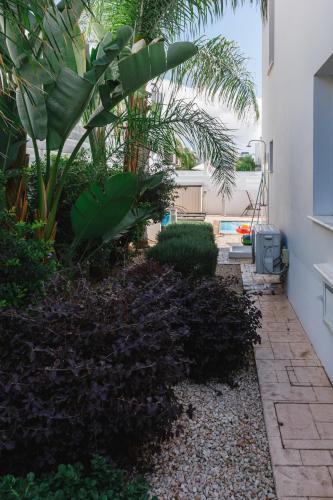 Vườn quanh Nissini Villas