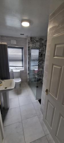 a bathroom with a shower and a toilet and a sink at 17 DB property in Wexford
