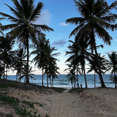 two palm trees on a beach with the ocean at Apartamento Reserva Imbassaí in Imbassai