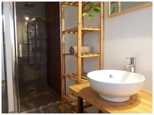 Neuville-sur-SartheにあるGite de groupe "Le Réveillon"の白い洗面台とシャワー付きのバスルーム