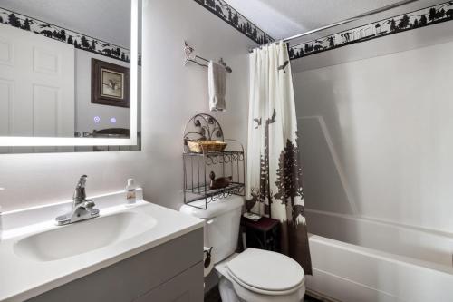 a bathroom with a sink and a toilet and a mirror at Zen Vibe w Fireplace Grill Deck & Screened Porch in Hedgesville