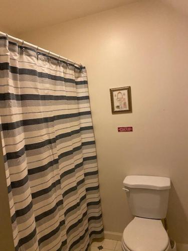 a bathroom with a toilet and a shower curtain at Chalet in Masthope Community in Lackawaxen