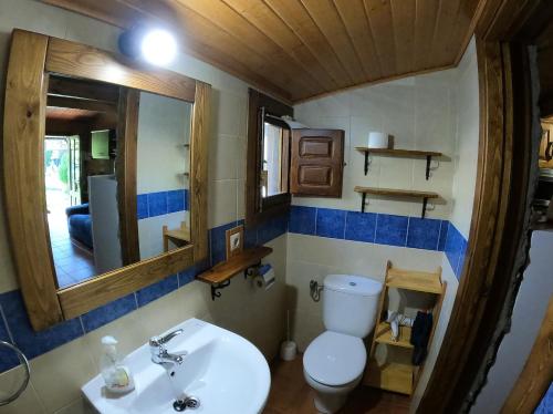 a bathroom with a toilet and a sink and a mirror at Cabaña El Lagunazo in Riópar
