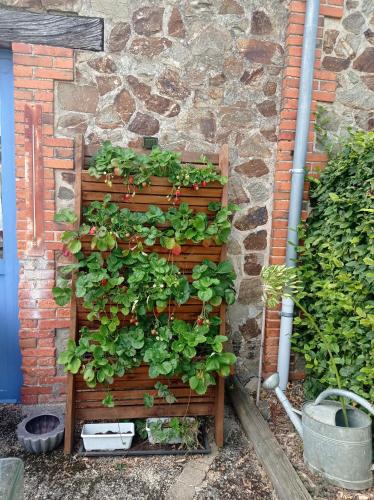 a vertical herb garden on a brick wall at Domaine des Ecoliers - Appartement 123 soleil - Parking in Montaigu-Vendée