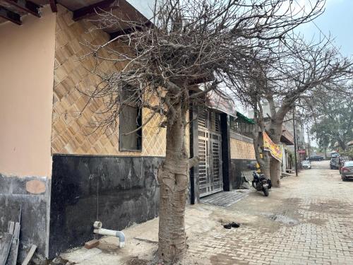 a tree in front of a building next to a street at Shri Gaya Prasad Dham in Vrindāvan