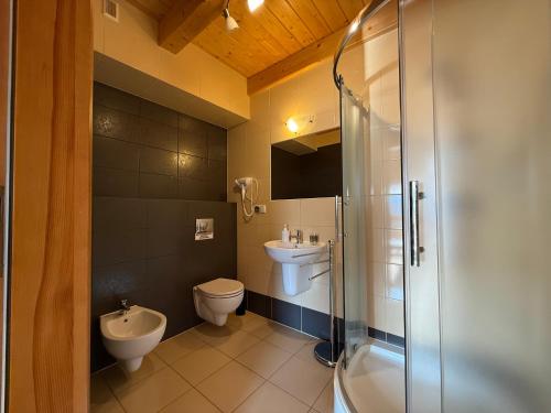 een badkamer met een toilet, een wastafel en een douche bij Dom Madeyski in Szczawnica