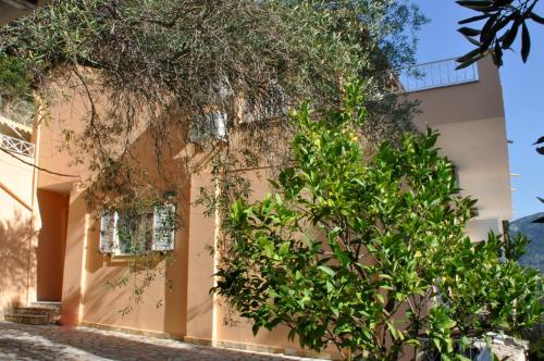Gallery image of Stella's Apartments in Agios Gordios