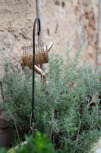 a bird feeder hanging from a plant at Masia Cal Fuster in Joanet