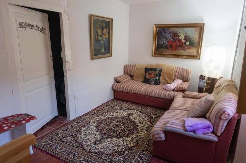 a living room with two couches and a couch at Masia Cal Fuster in Joanet