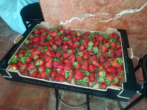 a tray of strawberries sitting on top of a table at Masia Cal Fuster in Joanet