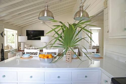 a kitchen with a potted plant and a bowl of oranges at Weekend Away in Dauphin Island