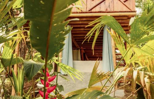 a room with a bed in the middle of plants at Toucan Lodge in Puyo
