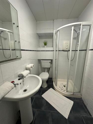 a bathroom with a sink and a shower and a toilet at Mary Street Apartment in Galway