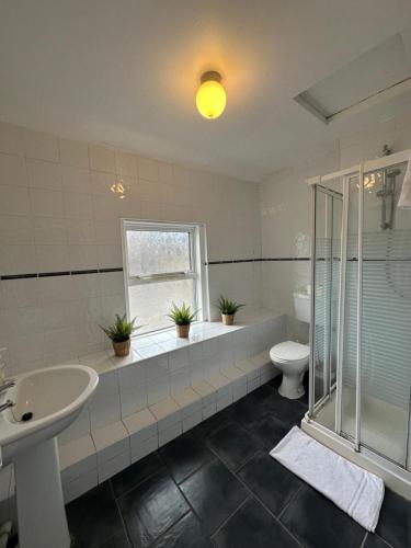 a bathroom with a shower and a sink and a toilet at City Centre Stay Apartment in Galway