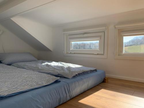 Gemütliches Tiny House in der Rhön في Hilders: غرفة نوم بها سرير ونافذتين
