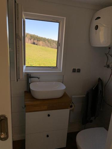 a small bathroom with a sink and a window at Gemütliches Tiny House in der Rhön in Hilders