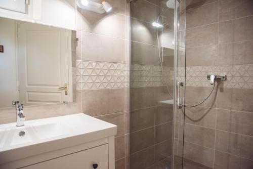 une salle de bain avec douche et lavabo dans l'établissement Gîtes l'Ora des Marais IV, à Sainte-Gemme-la-Plaine