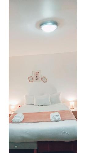 Una cama o camas en una habitación de Po1-TPSA17-3D- ROOM Porte maron