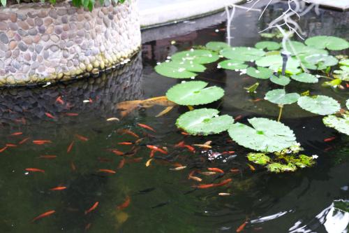 Fotografie z fotogalerie ubytování บ้านณัฐวรรณ หัวหิน - Baan Nattawan Huahin v destinaci Hua Hin
