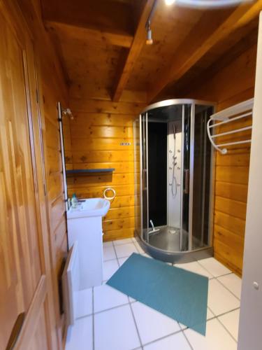 a bathroom with a shower and a sink at Chalet en bois in Bias