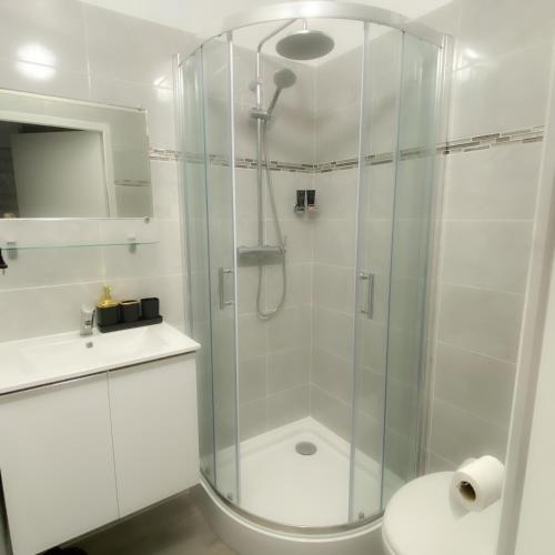 une salle de bain blanche avec douche et toilettes dans l'établissement Studio Cosy, à Saintes