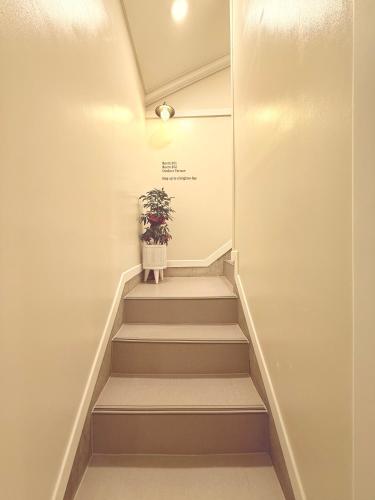 Foto dalla galleria di GreeneStay Sindang DDP Seoul a Seul